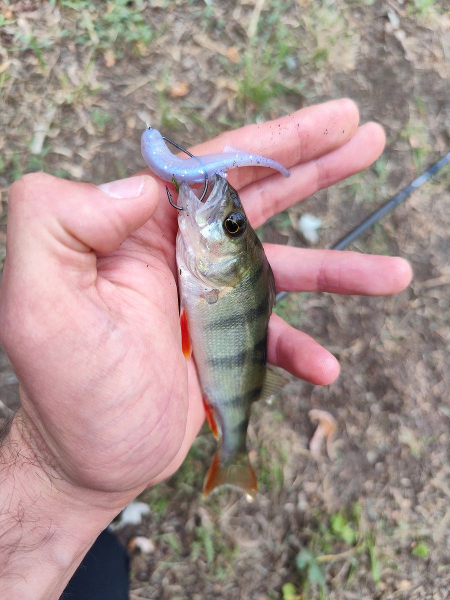 Softbait correct monteren: recht op jighead, dropshot en offset hook