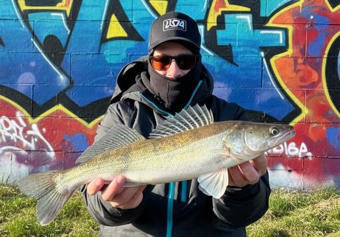 Baars of snoekbaars: zo pas je tungsten en softbaitpresentatie aan