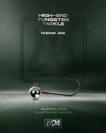 W74 Tungsten Finesse Jigs