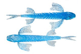 #10 Cold Ice